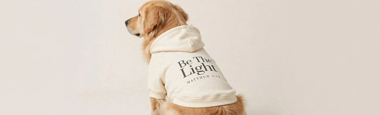 Black dog hoodie with cream Be The Light Matthew 5:14 print on the back - matching family dog hoodie