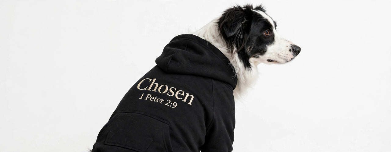 Black dog hoodie with cream Chosen 1 Peter 2:9 print on the back - matching family dog hoodie