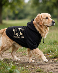 Thumbnail for Be The Light Dog Hoodie - Black - golden retriever walking side profile in park, back print Be The Light Matthew 5:14