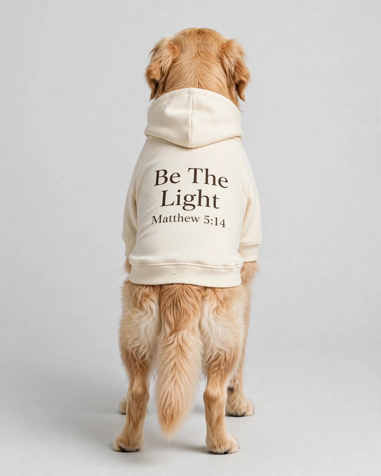 Be The Light Dog Hoodie - Cream - golden retriever plain rear view in studio, back print Be The Light Matthew 5:14