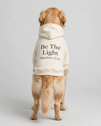 Thumbnail for Be The Light Dog Hoodie - Cream - golden retriever plain rear view in studio, back print Be The Light Matthew 5:14