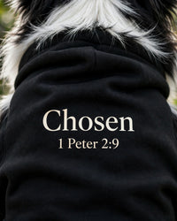 Thumbnail for Chosen Dog Hoodie - Black - close-up of fleece back print Chosen 1 Peter 2:9