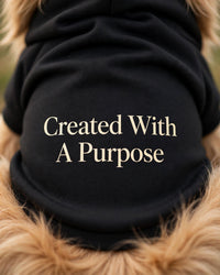Thumbnail for Created With A Purpose Dog Hoodie - Black - close-up of fleece back print Created With A Purpose stacked