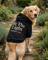 Thumbnail for Be The Light Dog Hoodie - Black - golden retriever standing in garden looking back, back print Be The Light Matthew 5:14