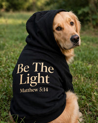 Thumbnail for Be The Light Dog Hoodie - Black - golden retriever sitting with hood up, back print Be The Light Matthew 5:14