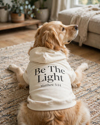 Thumbnail for Be The Light Dog Hoodie - Cream - golden retriever lying on rug chin up, back print Be The Light Matthew 5:14