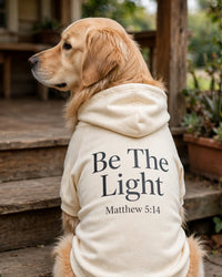 Thumbnail for Be The Light Dog Hoodie - Cream - golden retriever sitting on porch looking left, back print Be The Light Matthew 5:14