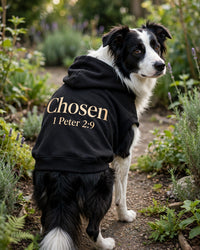 Thumbnail for Chosen Dog Hoodie - Black - border collie standing in garden looking back over shoulder, back print Chosen 1 Peter 2:9
