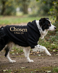 Thumbnail for Chosen Dog Hoodie - Black - border collie walking side profile in park, back print Chosen 1 Peter 2:9