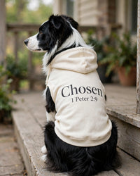 Thumbnail for Chosen Dog Hoodie - Cream - border collie sitting on porch looking left, back print Chosen 1 Peter 2:9