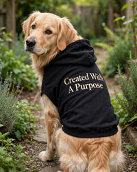 Thumbnail for Created With A Purpose Dog Hoodie - Black - golden retriever standing in garden looking back, back print Created With A Purpose stacked