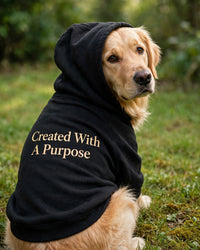 Thumbnail for Created With A Purpose Dog Hoodie - Black - golden retriever sitting with hood up, back print Created With A Purpose stacked
