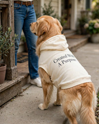 Thumbnail for Created With A Purpose Dog Hoodie - Cream - golden retriever beside owner on porch, back print Created With A Purpose stacked