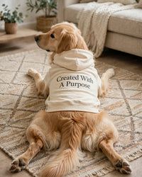 Thumbnail for Created With A Purpose Dog Hoodie - Cream - golden retriever lying on rug chin up, back print Created With A Purpose stacked