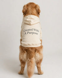 Thumbnail for Created With A Purpose Dog Hoodie - Cream - golden retriever plain rear view in studio, back print Created With A Purpose stacked