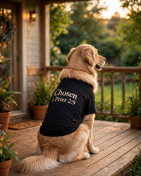 Thumbnail for Dog tee mockup — Chosen, Black